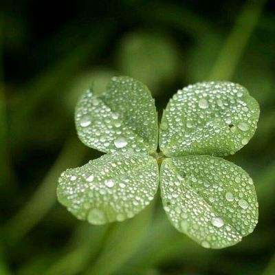 江南体育app下载下载手机版